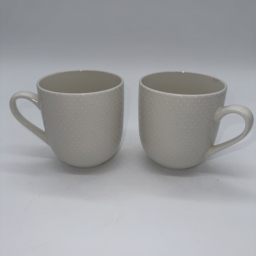 Modern Gourmet‎ Foods Bone China Set of 2 Embossed Coffee Mugs Textured